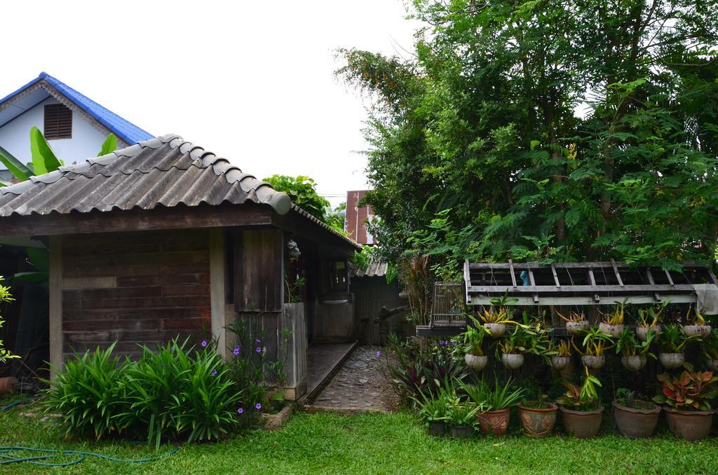 拜县猫小屋旅馆 外观 照片